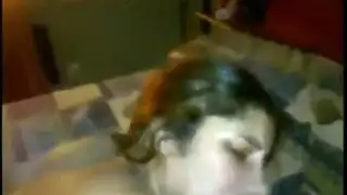 بنات مقنعات
