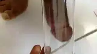 قنبلة شقراء تأخذ زبًا كبيرًا في فيلم جنوب أفريقي
