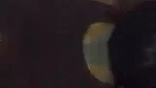 عنف جر شعر