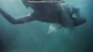 نيك نسونجي ارداف كبيرة
