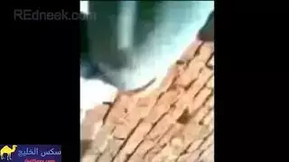 حلوين العراق شواذ