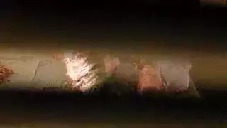 أورجي مشيمي لنساء بدينات