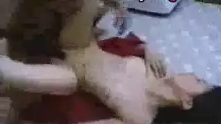 أخت تهيمن على أخيها الدياثة بشريط جنسي لها