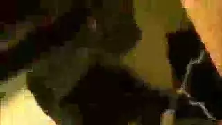 شقراء مثير تمتص الديك كبير مع شفتيها قبل ذلك مارس الجنس الزجاج دسار شقراء مثير تمتص الديك كبير مع شفتيها قبل ذلك مارس الجنس الزجاج دسار