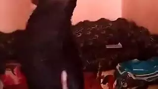 احلي رقص عريان لشرموطة مصرية هيجانة بزازها كبيرة