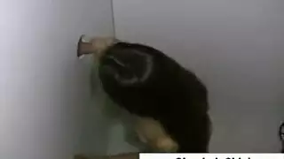 اكبرماخير