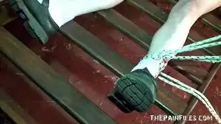 يتم تقييد العبد اللاتيني الساخن وتعذيبه ثم يتم مارس الجنس بشدة كما لم يحدث من قبل يتم تقييد العبد اللاتيني الساخن وتعذيبه ثم يتم مارس الجنس بشدة كما لم يحدث من قبل