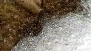ضيقة الحمار مثليه يأكل مهبل امرأة أخرى فقط لأنها هي لعبة الجنس المفضلة لديهم