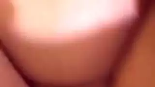 أول جنس الشرجي