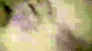 اجمد فتاة سكسية ناااار تستمني بينما يسترق عليها النظر جارها الممحون في السر اجمد فتاة سكسية ناااار تستمني بينما يسترق عليها النظر جارها الممحون في السر