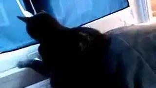 جنس مثير متحمس فاتنة شقراء ينتشر كس