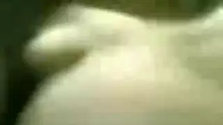 فيلم سكس مصري قديم لشرموطة من المنصورة فيلم سكس مصري قديم لشرموطة من المنصورة