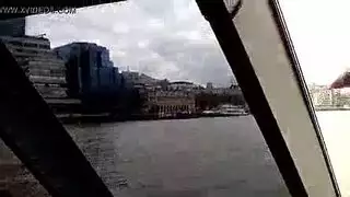 حار بارميزان مقبلات البحر المحاريث الحمار