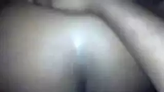 كتكوت الأبنوس مفلس تمتص بسرعة.