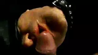 مصاصة الأبنوس الديك مع كبير الثدي، يحب الياسمين جولي تذوق ديك قبل الحصول عليه داخل مهبلها.