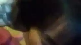 طالب البراغي المعلم في الغش في الغابة