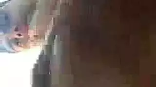الفتيات هم موظفون شخصيون جيبيكس أنيق للحوزة وغالبا ما يذهبون إلى رئيسهم للعمل بجد
