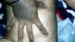 العاهرة السمين ، زوي الأخضر ورجل أسود وسيم على وشك ممارسة الجنس البري.