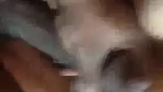 غسل فاتنة الوثن في ربيع الهرة إلى النشوة الجنسية، مع دسار في دش ضخم. غسل فاتنة الوثن في ربيع الهرة إلى النشوة الجنسية، مع دسار في دش ضخم.